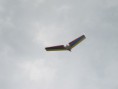 /album/fotogaleria-inicio/img-1350-jpg1/